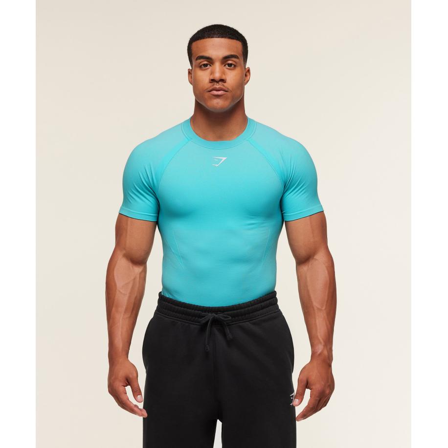 Gymshark Shadow Seamless T Shirt Brand Blue Blauw