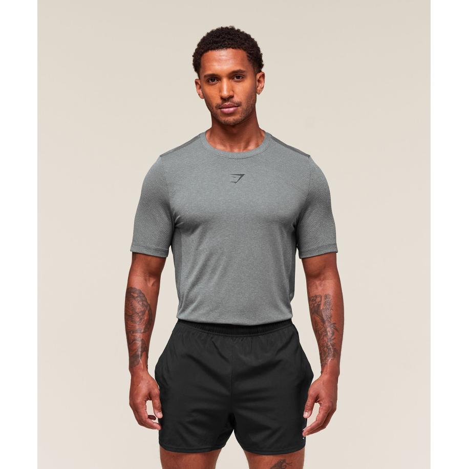 Gymshark Lightweight Seamless T-Shirt Light Grey/Smokey Grey Grijs