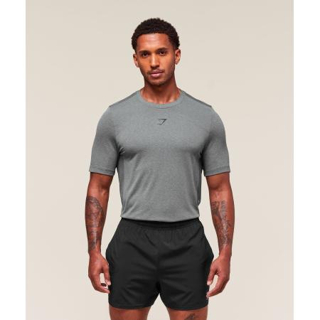Gymshark Lightweight Seamless T-Shirt Light Grey/Smokey Grey