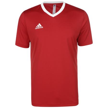 adidas Performance ADIDAS PERFORMANCE Functioneel shirt Entrada 22 rood / wit