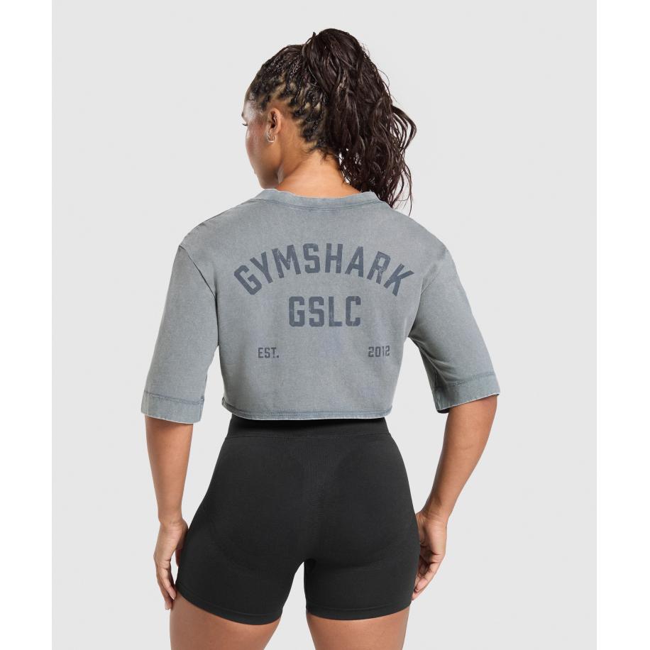 Gymshark GSLC Washed Graphic Crop Top Iron Blue Blauw
