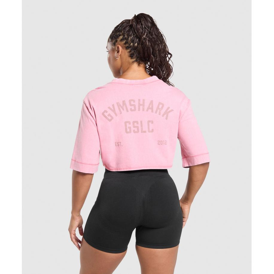 Gymshark GSLC Washed Graphic Crop Top Sunset Pink Roze