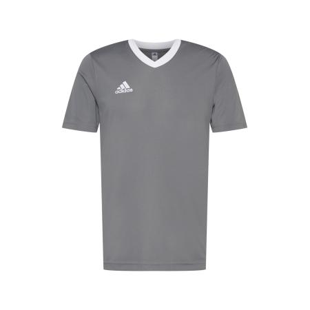 adidas Performance ADIDAS PERFORMANCE Functioneel shirt Entrada 22 lichtgrijs / wit