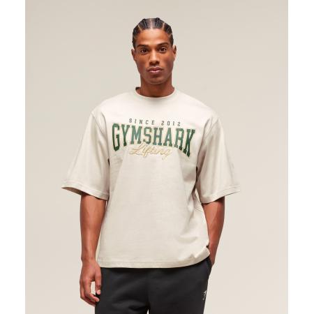 Gymshark Lifting Essentials T-Shirt Pebble Grey