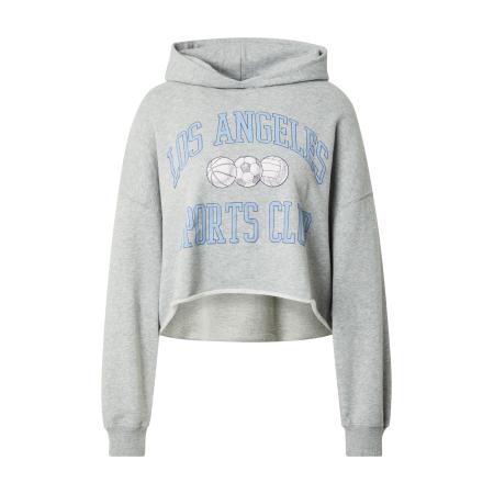 Hollister HOLLISTER Sweatshirt lichtblauw / donkergrijs / grijs gemêleerd / wit