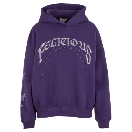 Felicious Sweatshirt grijs / lila