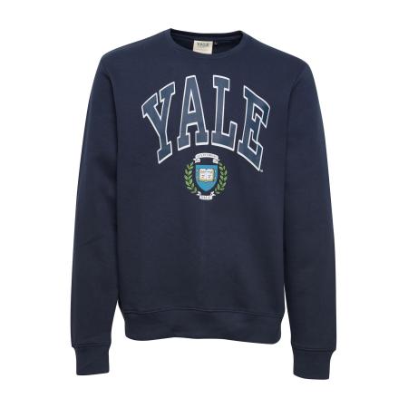 Blend BLEND Sweatshirt lichtblauw / donkerblauw / groen / wit
