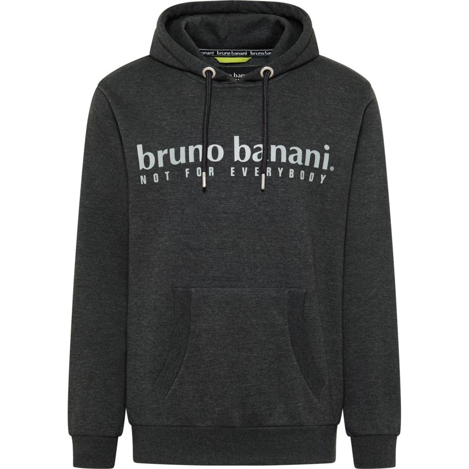 Bruno Banani Bruno Banani Sweatshirt CARVER grijs / antraciet / lichtgrijs -