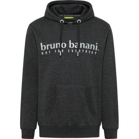 Bruno Banani Bruno Banani Sweatshirt CARVER grijs / antraciet / lichtgrijs