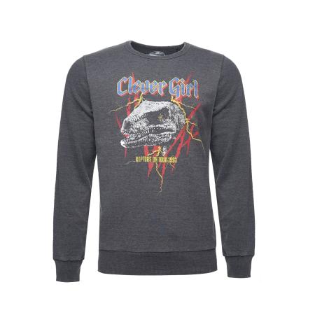 Recovered Recovered Sweatshirt Jurassic Park T-Rex Rock grijs