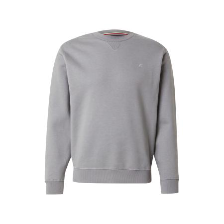 Replay REPLAY Sweatshirt grijs