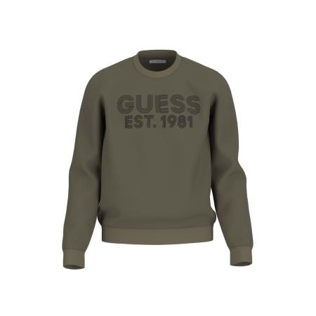 GUESS Sweatshirt BEAU groen