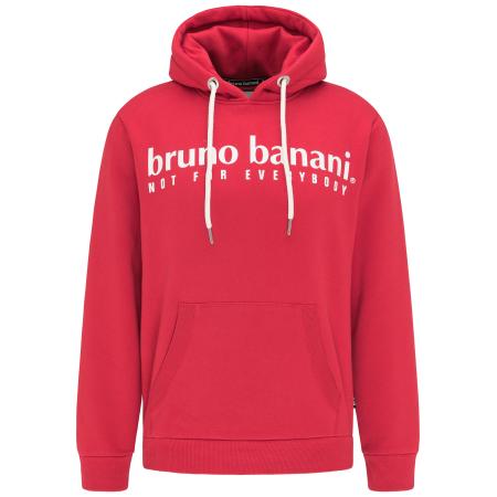 Bruno Banani Bruno Banani Sweatshirt Young grenadine / wit