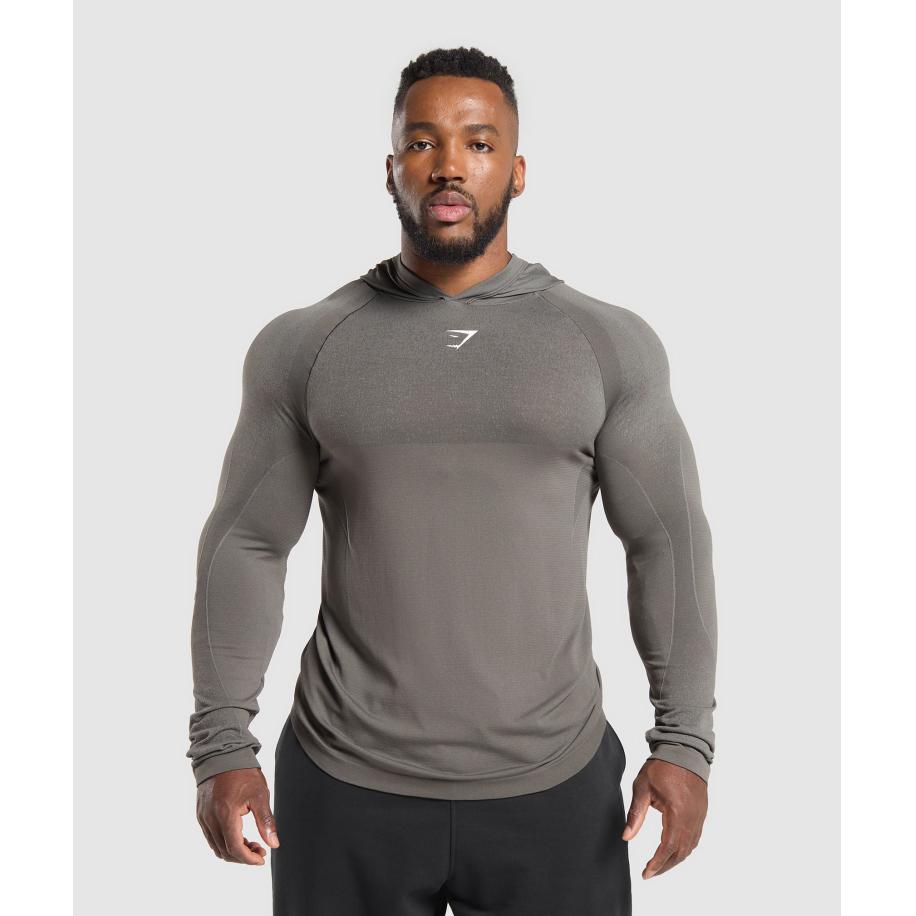 Gymshark Shadow Seamless Hoodie Meteor Grey Grijs