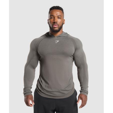 Gymshark Shadow Seamless Hoodie Meteor Grey
