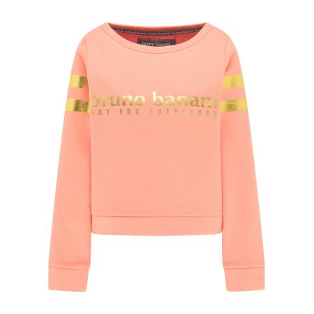 Bruno Banani Bruno Banani Sweatshirt GRIFFIN oranje