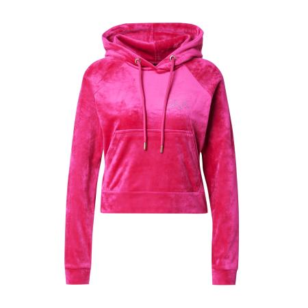 19V69 ITALIA 19V69 ITALIA Sweatshirt INGA neonroze