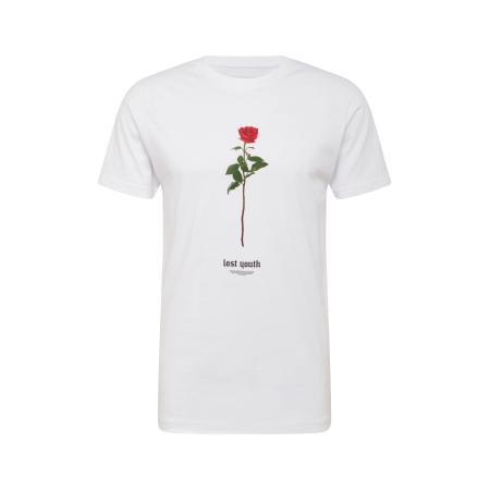 mister tee Mister Tee Shirt Lost Youth Rose bruin / groen / rood / zwart / wit