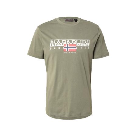 Napapijri NAPAPIJRI Shirt S-AYLMER marine / groen / rood / wit