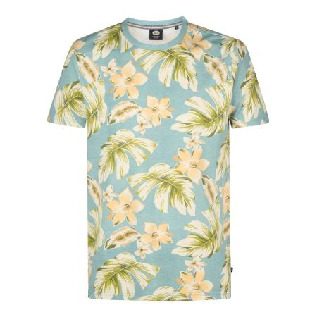 Petrol Industries Petrol Industries Shirt beige / pastelblauw / kiwi / abrikoos