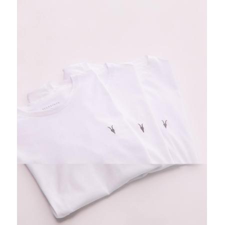 AllSaints - Brace - Set van 3 T-shirts van geborsteld katoen in wit