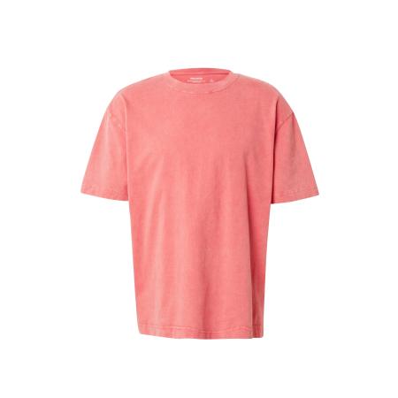 Hollister HOLLISTER Shirt watermeloen rood