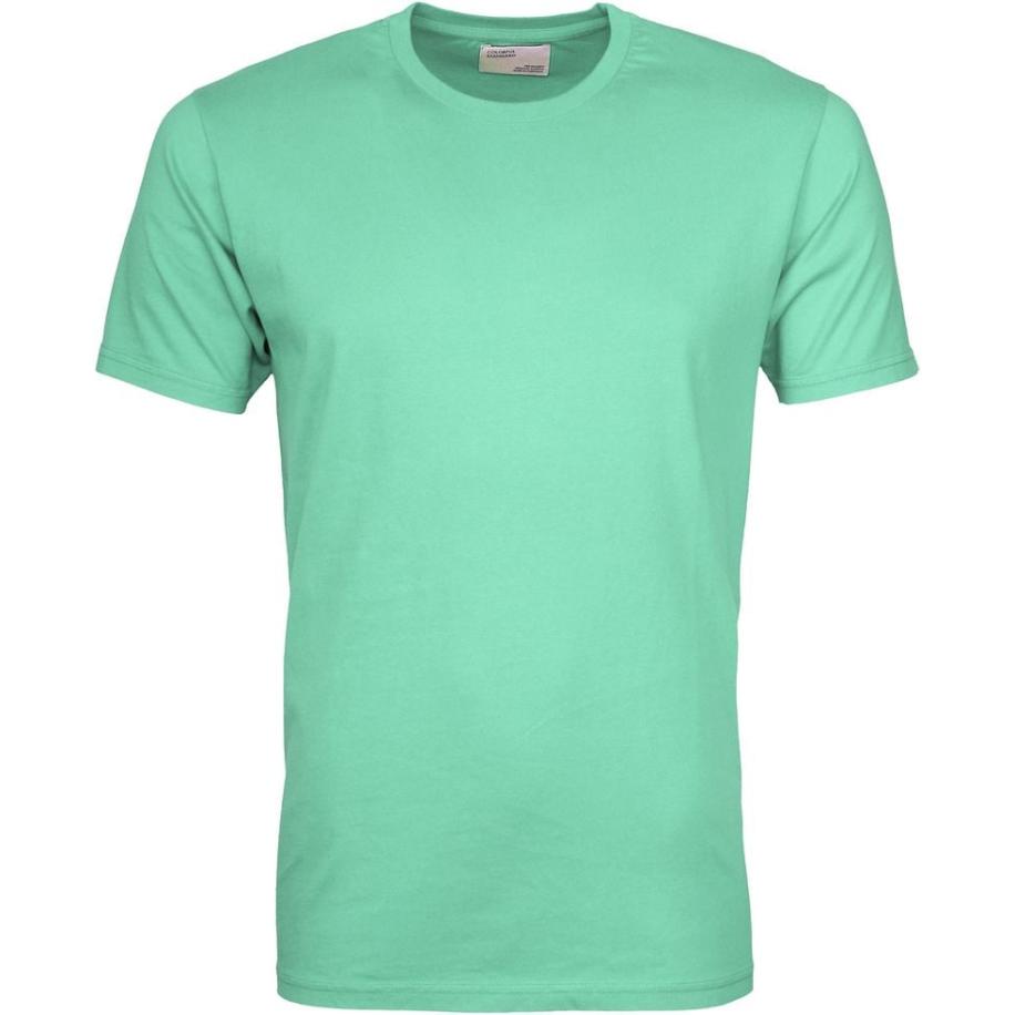 Colorful Standard T-shirt Faded Mint Groen