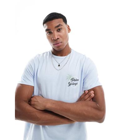 New Look - T-shirt met Palm Springs-tekst en ronde hals in lichtblauw