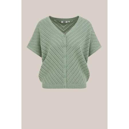 WE Fashion Dames gebreid vest met open structuur - Regular fit - Pastelgroen - Biologisch katoen - Maat: S