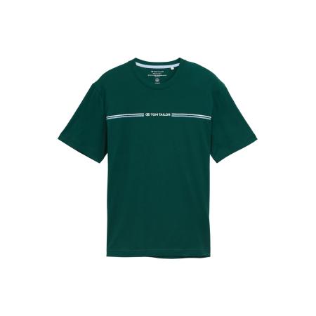 Tom Tailor TOM TAILOR Shirt lichtblauw / donkergroen / wit