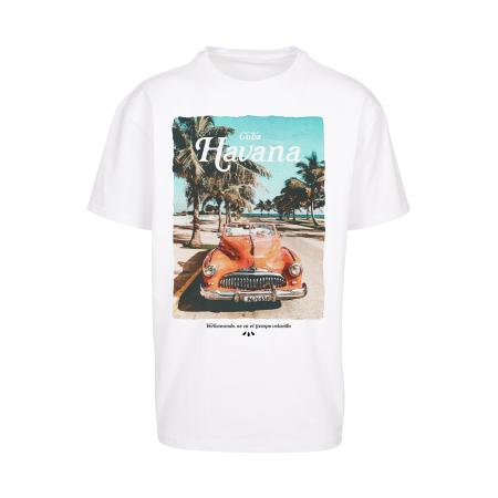 mister tee Mister Tee Shirt Havana Vibe cappuccino / olijfgroen / jade groen / wit
