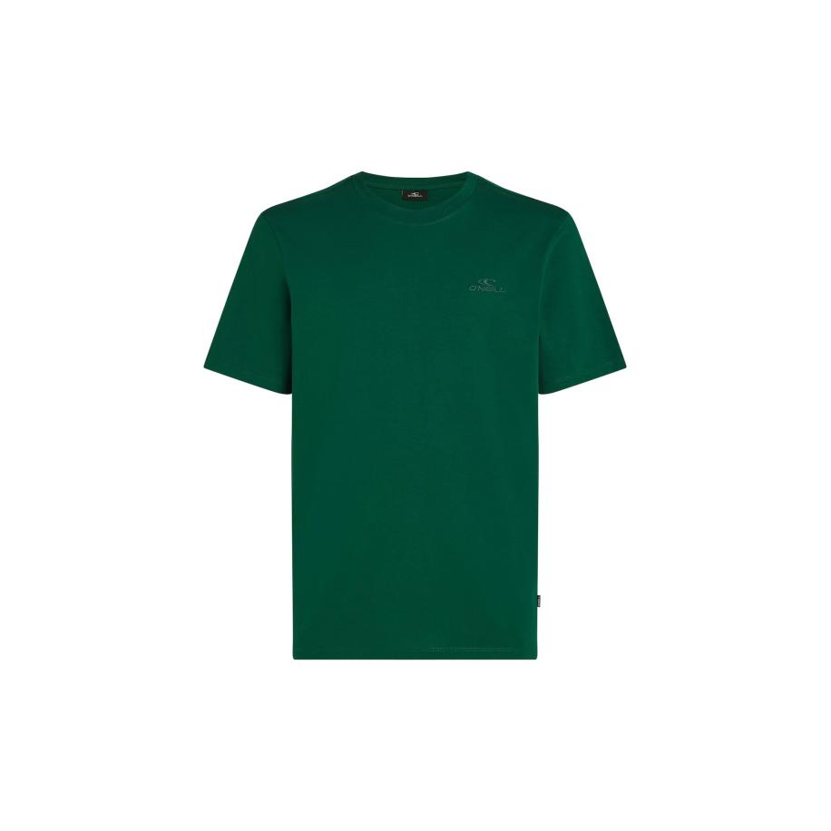 O'Neill ONEILL Shirt groen -