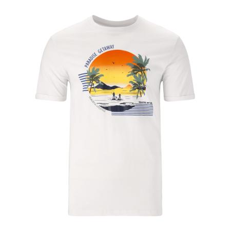 Cruz Cruz Shirt Flair gemengde kleuren / wit