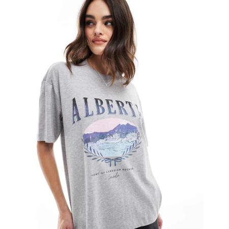 Cotton On Recht T-shirt met Alberta-print in grijs