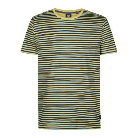 Petrol Industries Petrol Industries Shirt Anchorview pastelgroen