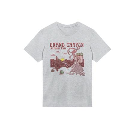 F4NT4STIC F4NT4STIC Shirt US National Parks Grand Canyon Sunrise grijs / groen / rood