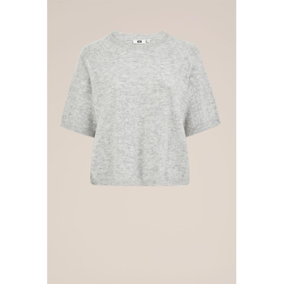 WE Fashion Dames trui met structuur - Curve - Regular fit - Lichtgrijs - Plus Size Maat: 50 Grijs