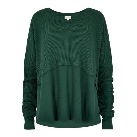 Apricot Apricot Top groen