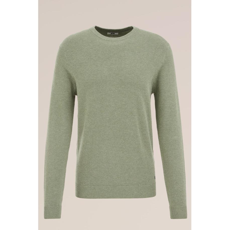 WE Fashion Heren Regular fit trui met structuur - Regular fit - Lichtgroen - Katoen - Maat: S Groen