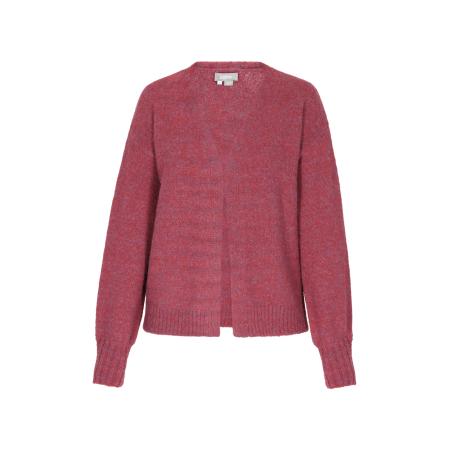 Usha Usha Gebreid vest bessen