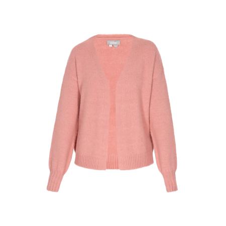 Usha Usha Gebreid vest oudroze