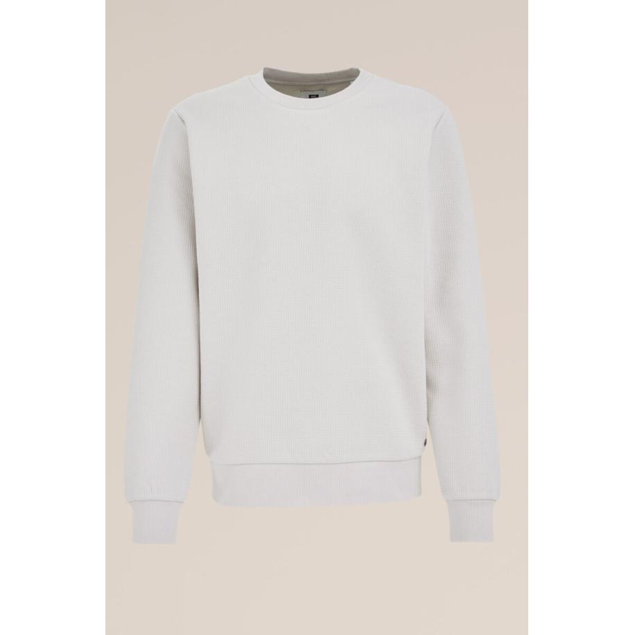 WE Fashion Heren Regular fit sweater met antibacteriële finish - Regular fit - Lichtgrijs - Katoen - Maat: XS Grijs