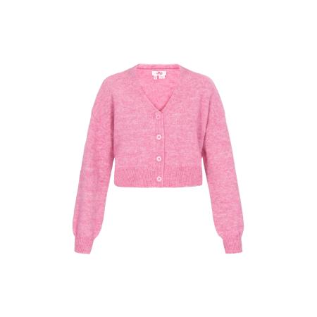 MYMO MYMO Gebreid vest pink
