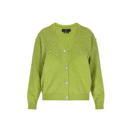 Faina faina Gebreid vest groen