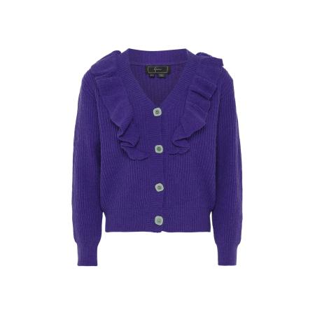 Faina faina Gebreid vest donkerlila