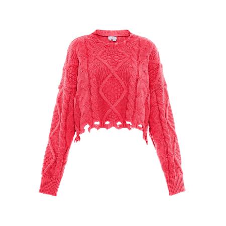 Gaya Gaya Trui koraal