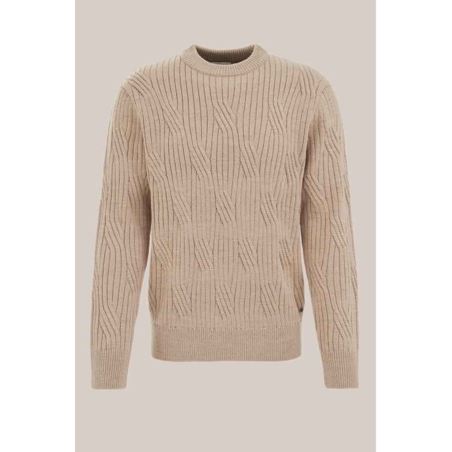 WE Fashion Heren regular fit trui van wolmix - Regular fit - Beige - Maat: XS Bruin
