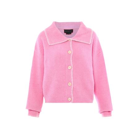 NAEMI NAEMI Gebreid vest beige / lichtroze / wit