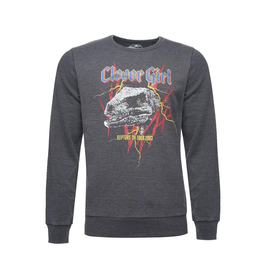 Recovered Recovered Sweatshirt Jurassic Park T-Rex Rock grijs -