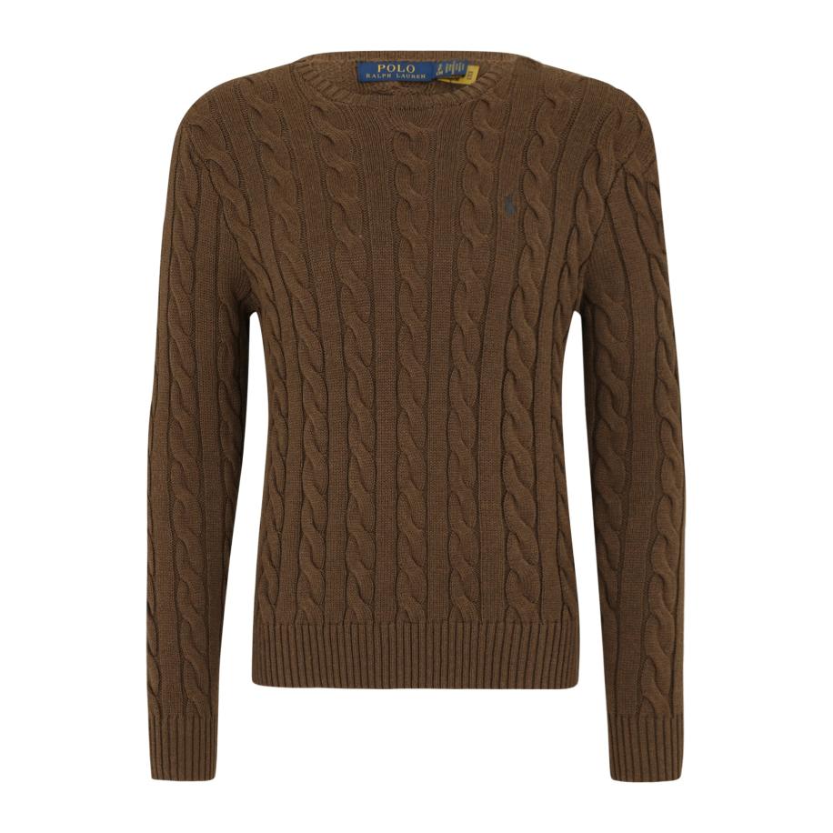 Polo Ralph Lauren Trui Driver bruin Bruin